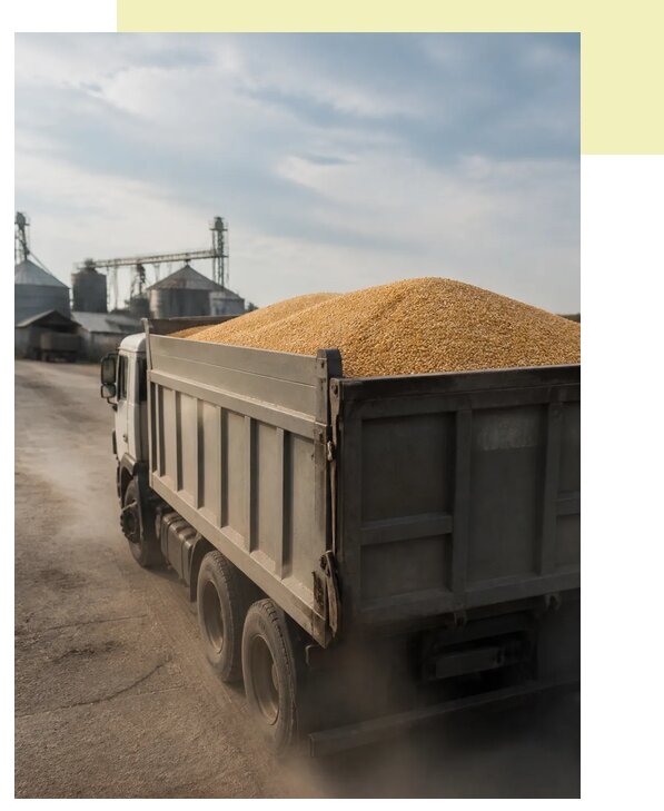 Перевозка сельхозпродукции навалом в Гулькевичи по цене от 3112 р. | Агросервис-Гль